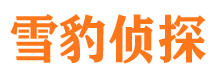 镇坪外遇调查取证